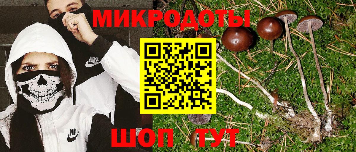 Сатка  Псилоцибиновые грибы мухоморы  Вход с VPN 