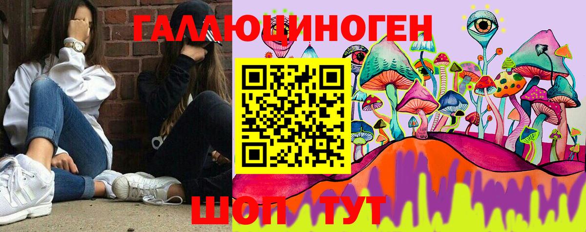 Псилоцибиновые грибы GOLDEN TEACHER Сатка